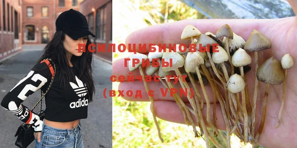 таблы Богданович