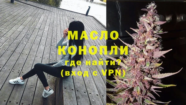 стаф Богородск