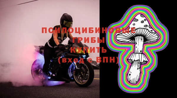 стаф Богородск