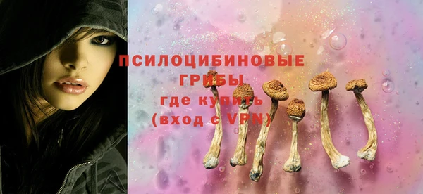 таблы Богданович