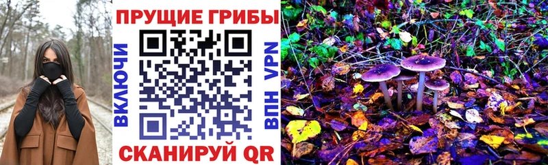 omg как зайти Городище Псилоцибиновые грибы MAGIC MUSHROOMS