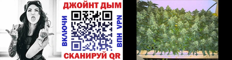 Конопля планчик  Городище 